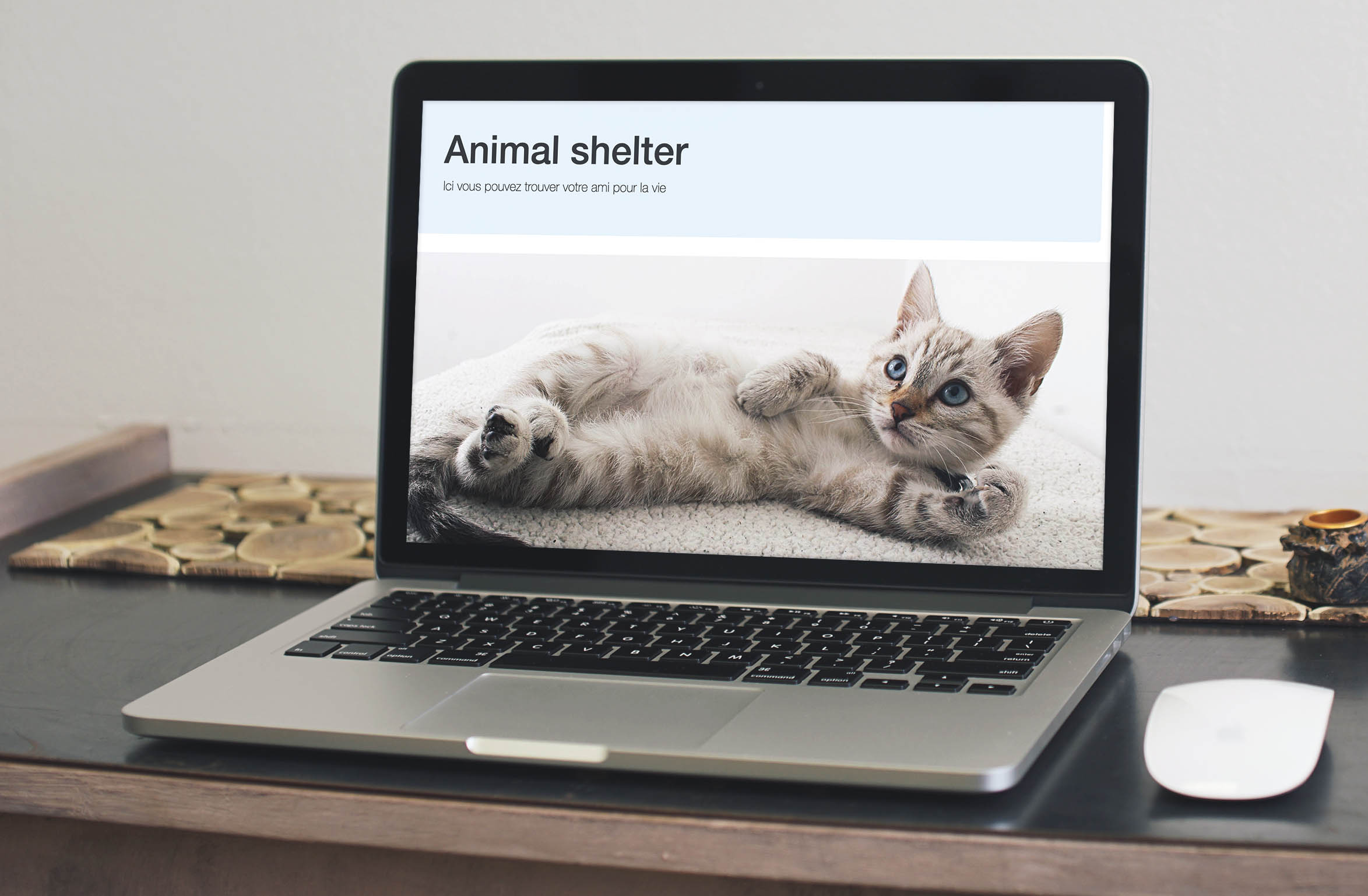 animal-sheleter